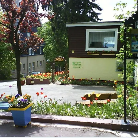 Hotel Hecker Braunlage